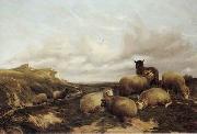unknow artist Sheep 159 china oil painting reproduction